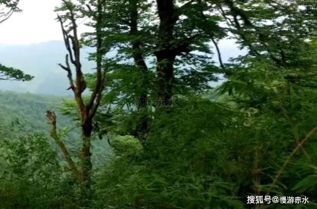深入了解上海元亨利贞拍卖有限公司可靠吗,分享知识星球平台上的精彩内容